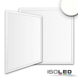 LED Panel Business Line 600 UGR<19 2H, BAP geeignet, IP40, 36W 4000K 4600lm 120, wei RAL 9016, Push/DALI dimmbar