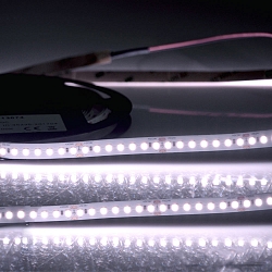 Bande LED CRI FOOD FLEX VEGETABLE 2 ples blanche