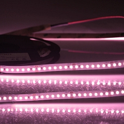 LED CRI FOOD Flexband MEAT, IP54 Nano beschichtet, 24V, 14.4W 3700K, CRi 80, dimmbar