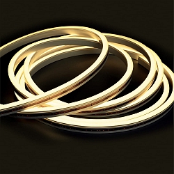 fully siliconised LED strip NEONPRO921 CUSTOM B08H12 2-pole