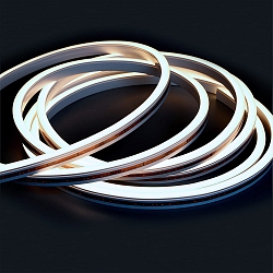 fully siliconised LED strip NEONPRO950 CUSTOM B08H12 2-pole