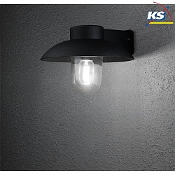 Luminaire mural d'extrieur MANI E27 IP44, noir , transparent