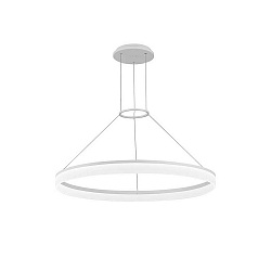 Luci a sospesione CIRC LED IP20, bianco