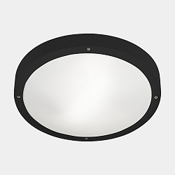 wall and ceiling luminaire BASIC E27 IP66