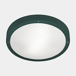 wall and ceiling luminaire BASIC E27 IP66