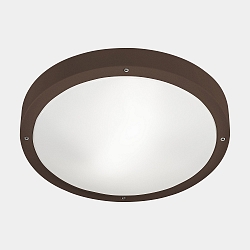 wall and ceiling luminaire BASIC E27 IP66