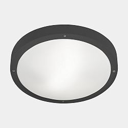 wall and ceiling luminaire BASIC E27 IP66
