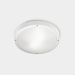 wall and ceiling luminaire BASIC LED IP66