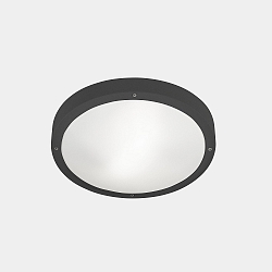 Lampada da parete e soffitto BASIC LED IP66