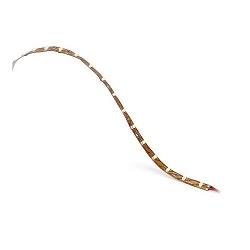 Tubo lumisono ON BASIC LED RGB