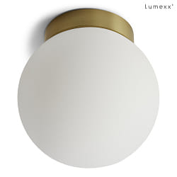 Applique et plafonnier PALLA SINGLE IP44, laiton gradable