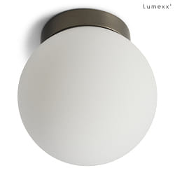 Applique et plafonnier PALLA SINGLE IP44, titane gradable