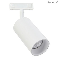 LED 1-Phasen Strahler DESIGNLINE TUBE LED SPOT, 36, 11,8W, 3000K, 1144lm, IP20, dimmbar, wei