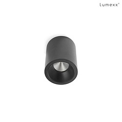 LED Deckenleuchte TUBE CEILING LED, 33, 8,75W, 2700K, 814lm, IP20, dimmbar, schwarz