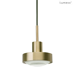 Pendelleuchte VIP3  12cm 1x GU10 IP20, messing