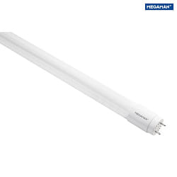 LED tube T8 HIGH POWER 600MM / 865 switchable matt G13 6,5W 1000lm 6500K 330° CRI 80-89 