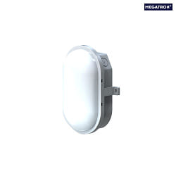 LED Ovalleuchte ZELLA NEO, IP54 IK08, 7.5/4.5W (multi), 120 4000K 750/450lm, PC-Kunststoff, schaltbar, grau / opalwei