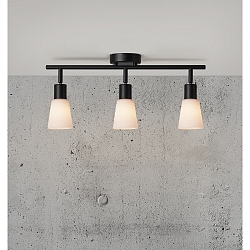 Plafoniera COLE 3-Lampadine E14 IP20, Opaco, Nero