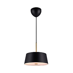 pendant luminaire CLASI 30 E14 IP20, black matt dimmable