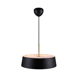 pendant luminaire CLASI 45 E27 IP20, black matt dimmable