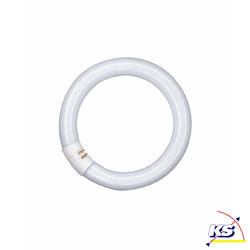 Osram Leuchtstofflampe L, ringfrmige 26mm Rhre, G10q, 840 C neutralwei, 32W