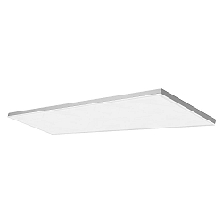 Panneau  LED PLANON(TM) FRAMELESS 1200X300, 40W 3300lm 3000K 110 110 CRI 80