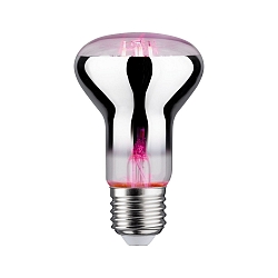 LED Growth light Filament Lamp / Grow Green Reflector R63, 230V, E27, 6.5W 1300K 200lm 106