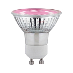 Lampadina con riflettore a LED PLANT GU10 3,5W 95lm 1100K 110 