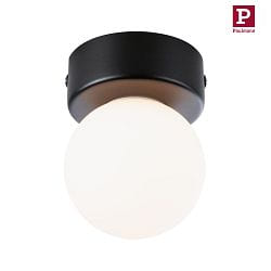 wall and ceiling luminaire GOVE G9 IP44, mat, black 