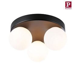 wall and ceiling luminaire GOVE G9 IP44, mat, black 