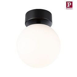 wall and ceiling luminaire GOVE IP44, mat, black 