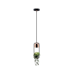 pendant luminaire NEORDIC URBAN JUNGLE FANJA GU10 IP20, copper, black dimmable