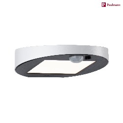 LED Solar-Wandleuchte RYSE mit Bewegungsmelder, IP44, 3000K 145lm, Wei