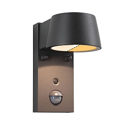 Luminaire mural dextrieur CAPEA avec dtecteur de mouvement LED IP44, anthrazit