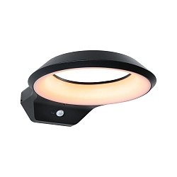 outdoor wall luminaire ANELA PIR with motion detector LED IP44, anthracite