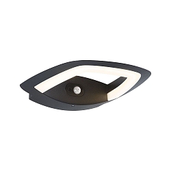 outdoor wall luminaire ANELA PIR with motion detector LED IP44, anthracite