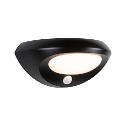 Lampada da parete solare SOROVA PIR con sensore IP44, antracite, trasparente 