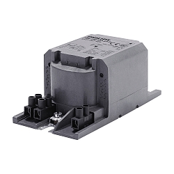 Regolatore elettronico BSN 100 L33-A2-TS