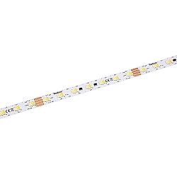 Bande LED STAR STRIP 3100 TUNABLE WHITE