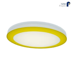 LED Wand- und Deckenleuchte ASCAR DALI, IP20,  33.5cm, 230V, CRI80, DALI dimmbar, Stahl / Acryl, 16W 3000K, gelb