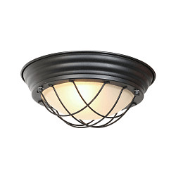 Luminaire de plafond LISANNE grand, rond, avec diffuseur E27 IP20