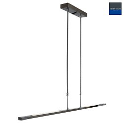 Luminaire  suspension ZELENA - 122CM haut bas, CCT Switch, rglable, avec variateur tactile IP20, acier bross gradable