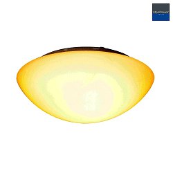 Lampada da parete e soffitto CEILING AND WALL piccolo, rotondo, cambered IP20, bianco opaco dimmerabile