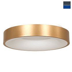 ceiling luminaire RINGLEDE -  48CM large, round, direct / indirect IP20, gold dimmable