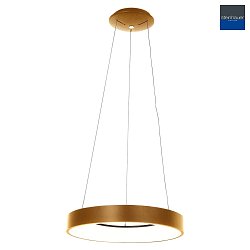 LED Pendelleuchte RINGLEDE,  48cm, 40W 2700K 3600lm, direkt / indirekt, dimmbar, gold