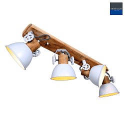 Luminaire de plafond GEARWOOD 4 flammes, rglable E27 IP20, blanche gradable