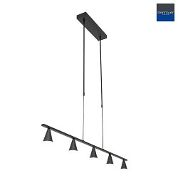 Luci a sospesione VORTEX 5-Lampadine, CCT Switch, regolabile, con dimmer a sfioramento IP20, nero opaco dimmerabile