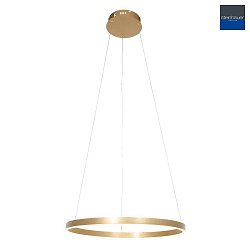 pendant luminaire RINGLUX LED IP20, gold dimmable
