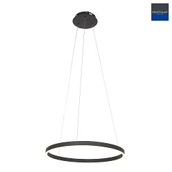 LED Pendelleuchte RINGLUX, 42W, 2700K, 4200lm, schwarz