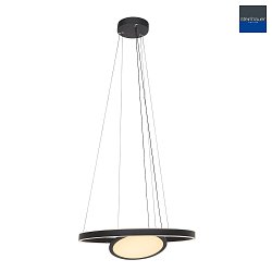 pendant luminaire RINGLUX LED IP20, black dimmable